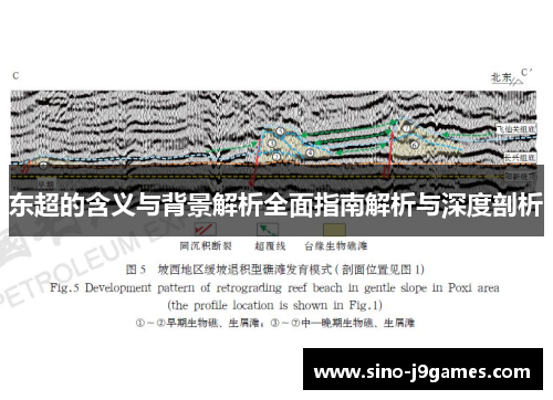 东超的含义与背景解析全面指南解析与深度剖析