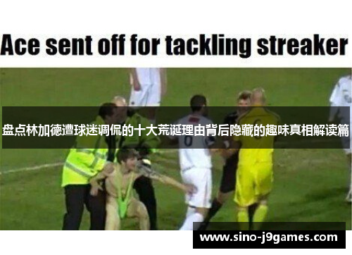 盘点林加德遭球迷调侃的十大荒诞理由背后隐藏的趣味真相解读篇