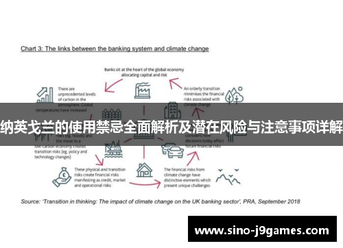 纳英戈兰的使用禁忌全面解析及潜在风险与注意事项详解