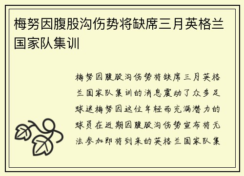梅努因腹股沟伤势将缺席三月英格兰国家队集训